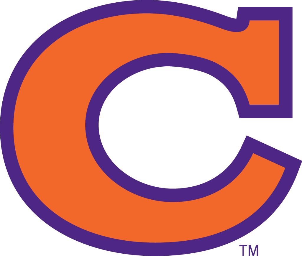Clemson Tigers 1965-1969 Alternate Logo v4 iron on transfers for T-shirts